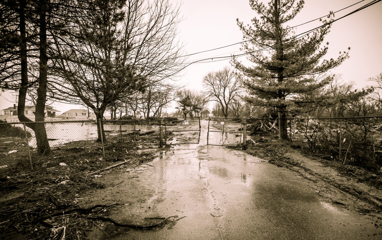 art-of-sandy-mo-staten island 2-3.jpg